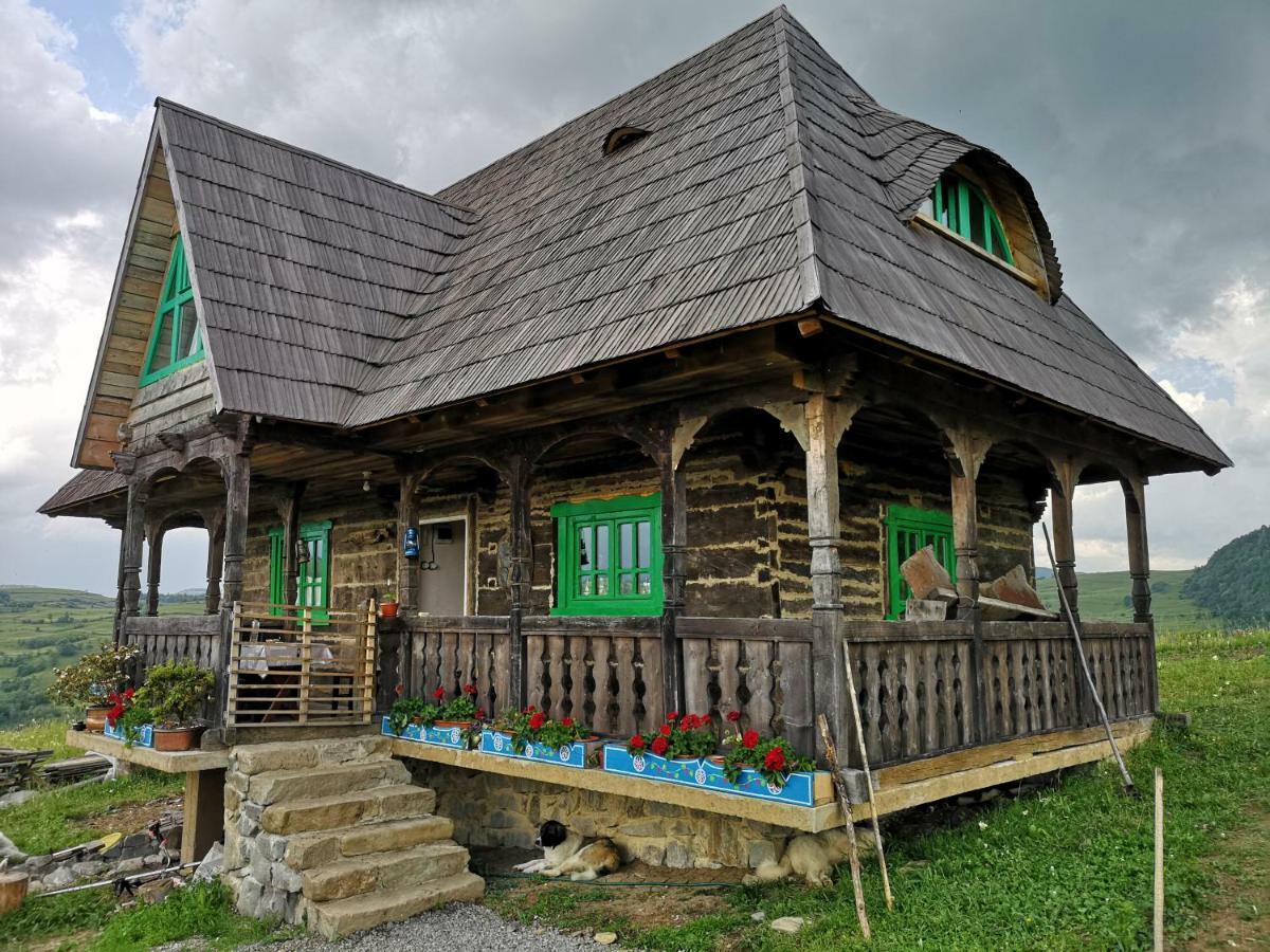 Гостевой дом Casa Glod Glod  Экстерьер фото
