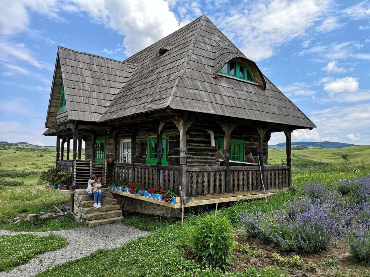 Гостевой дом Casa Glod Glod  Экстерьер фото