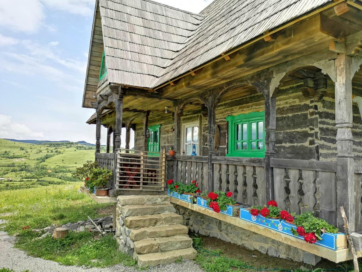 Гостевой дом Casa Glod Glod  Экстерьер фото