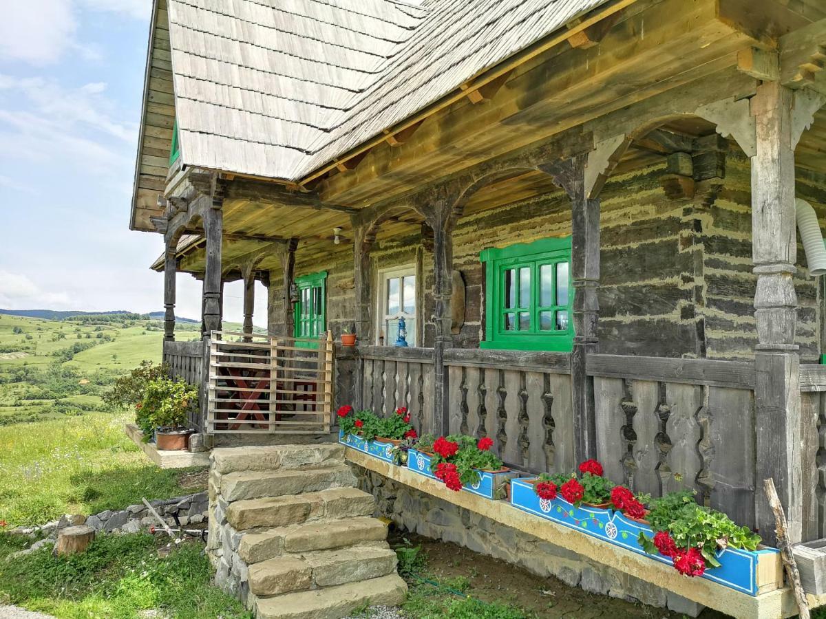 Гостевой дом Casa Glod Glod  Экстерьер фото